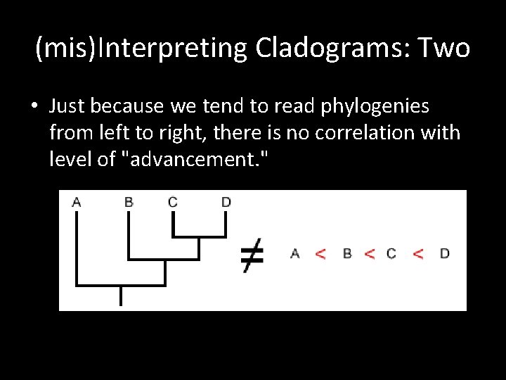 (mis)Interpreting Cladograms: Two • Just because we tend to read phylogenies from left to (mis)Interpreting Cladograms: Two • Just because we tend to read phylogenies from left to