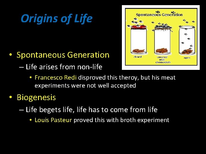 Origins of Life • Spontaneous Generation – Life arises from non-life • Francesco Redi Origins of Life • Spontaneous Generation – Life arises from non-life • Francesco Redi