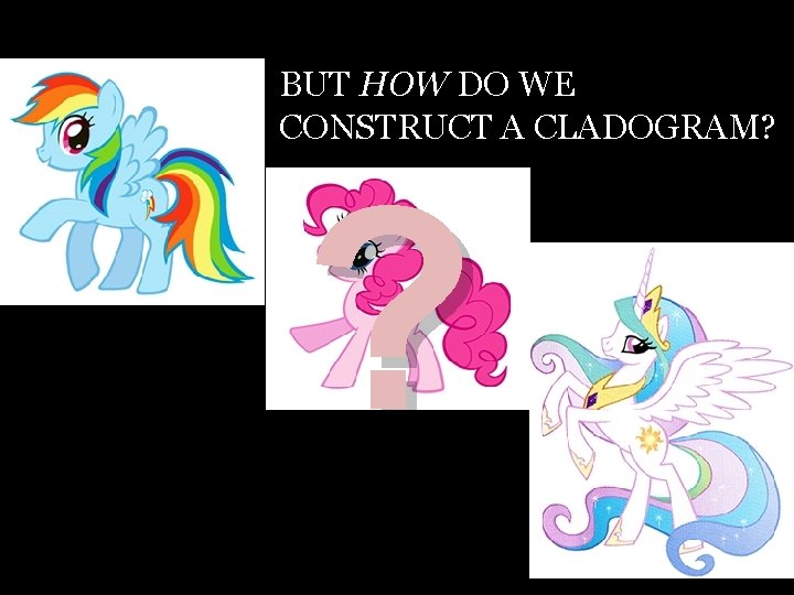 BUT HOW DO WE CONSTRUCT A CLADOGRAM? ? BUT HOW DO WE CONSTRUCT A CLADOGRAM? ?