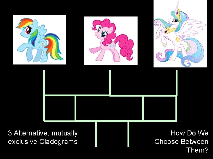 3 Alternative, mutually exclusive Cladograms How Do We Choose Between Them? 3 Alternative, mutually exclusive Cladograms How Do We Choose Between Them?