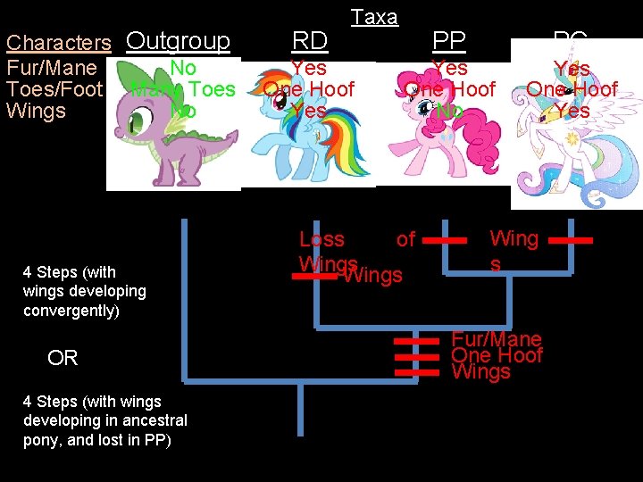 Characters Outgroup Fur/Mane No Toes/Foot Many Toes Wings No 4 Steps (with wings developing Characters Outgroup Fur/Mane No Toes/Foot Many Toes Wings No 4 Steps (with wings developing