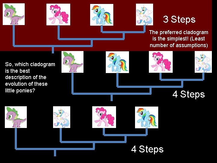 3 Steps The preferred cladogram is the simplest! (Least number of assumptions) So, which 3 Steps The preferred cladogram is the simplest! (Least number of assumptions) So, which
