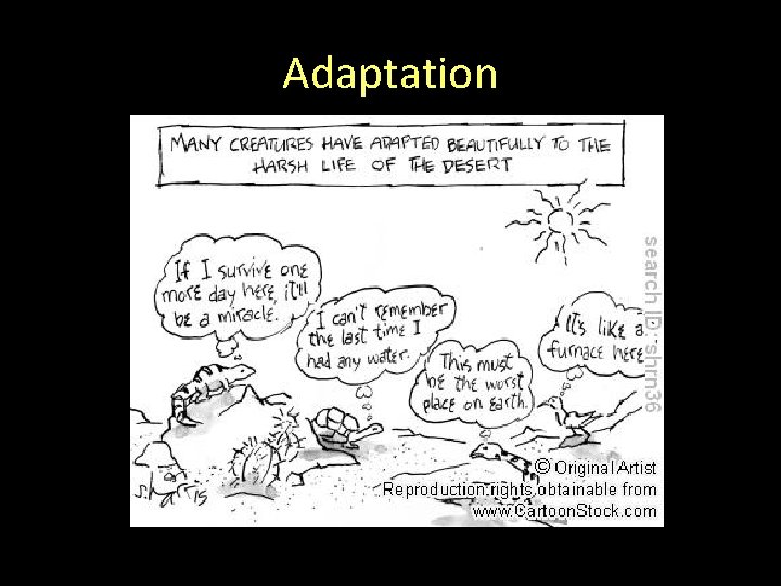 Adaptation Adaptation