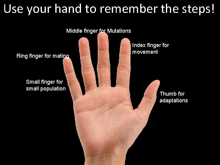 Use your hand to remember the steps! Middle finger for Mutations Ring finger for Use your hand to remember the steps! Middle finger for Mutations Ring finger for