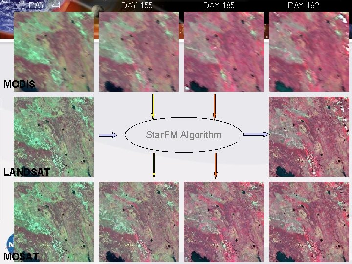 DAY 144 DAY 155 DAY 185 MODIS Star. FM Algorithm LANDSAT MOSAT DAY 192