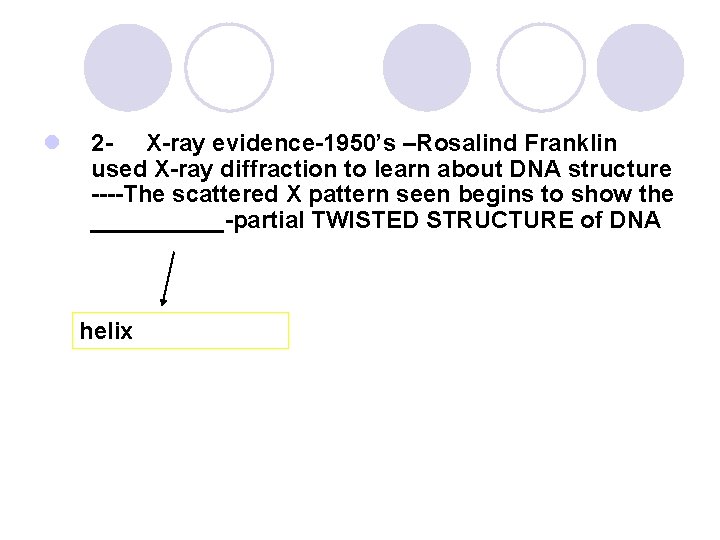 l 2 - X-ray evidence-1950’s –Rosalind Franklin used X-ray diffraction to learn about DNA