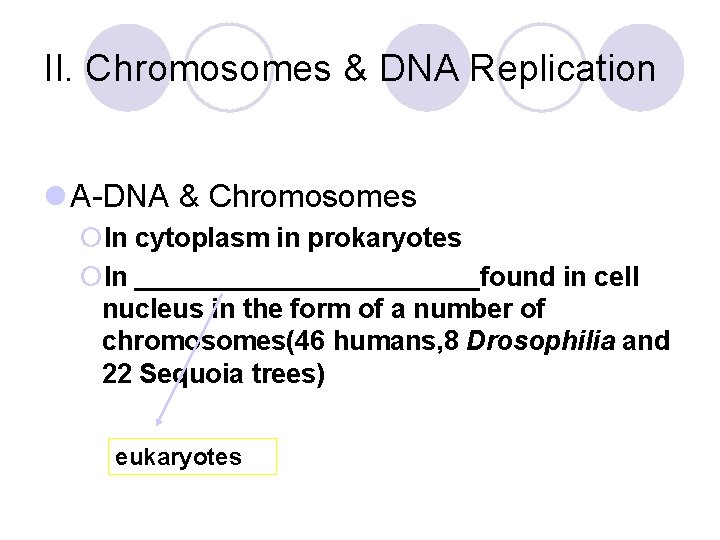II. Chromosomes & DNA Replication l A-DNA & Chromosomes ¡In cytoplasm in prokaryotes ¡In