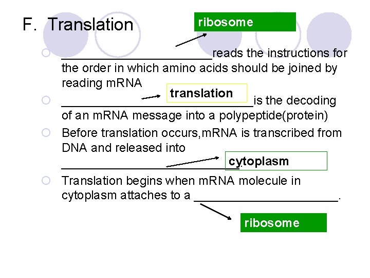 F. Translation ribosome ¡ ___________reads the instructions for the order in which amino acids