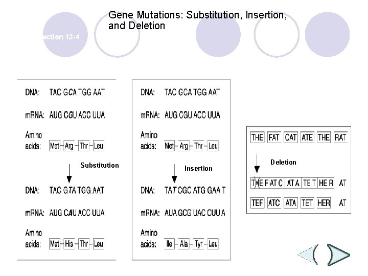 Gene Mutations: Substitution, Insertion, and Deletion Section 12 -4 Substitution Insertion Deletion 