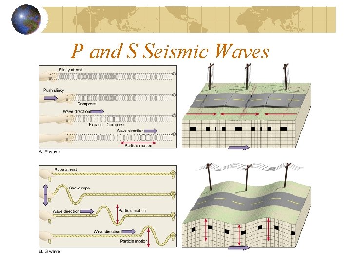 P and S Seismic Waves 