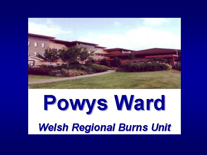 Powys Ward Welsh Regional Burns Unit Powys Ward Welsh Regional Burns Unit