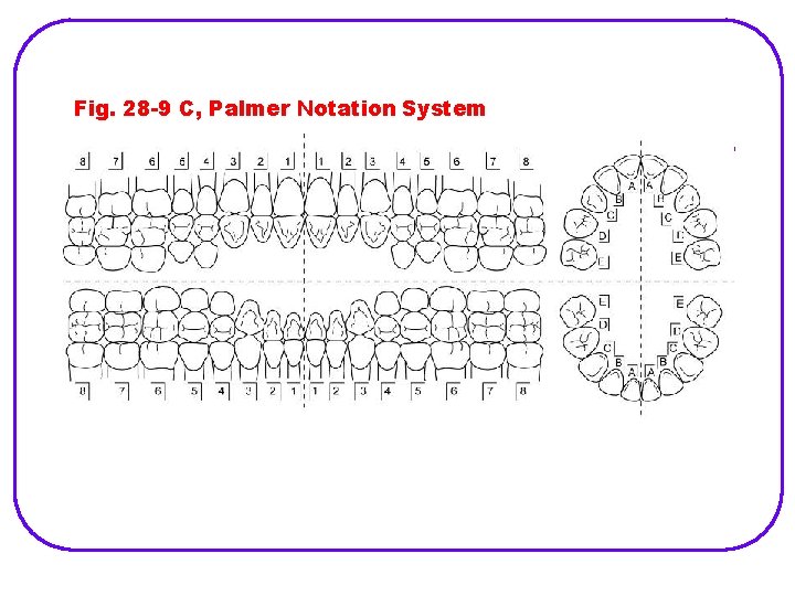 Fig. 28 -9 C, Palmer Notation System 