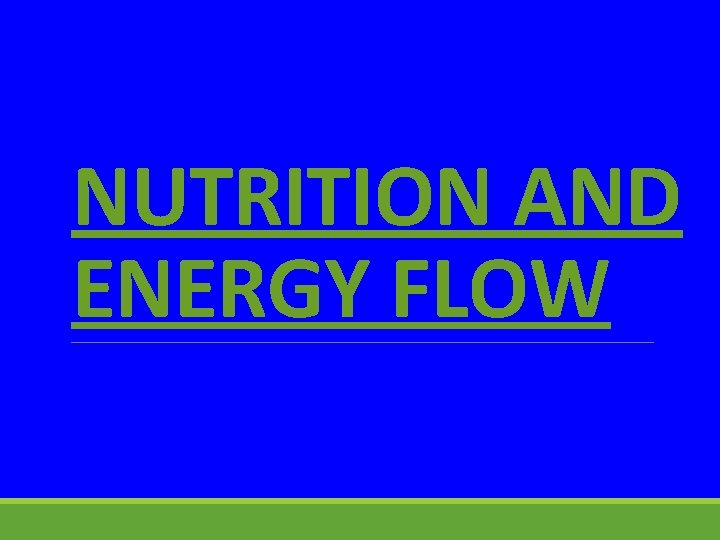 NUTRITION AND ENERGY FLOW 