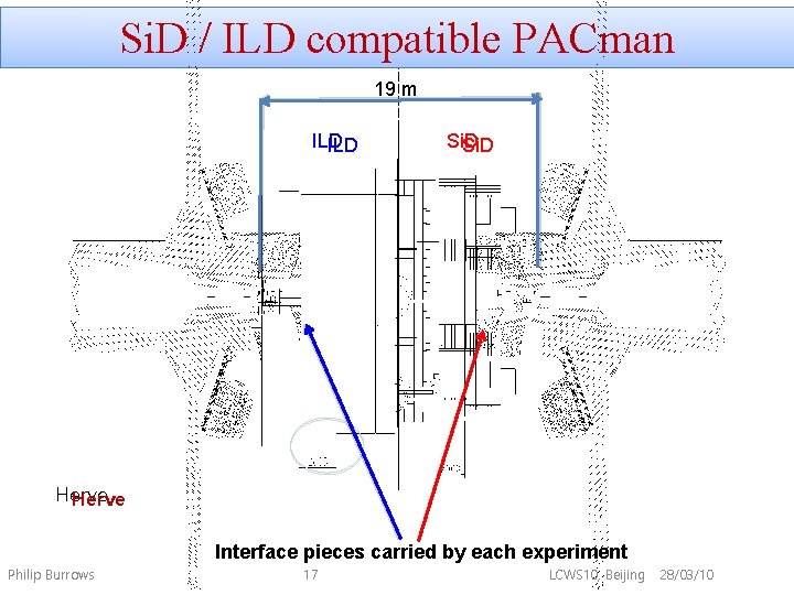 Si. D / ILD compatible PACman 19 m ILD Si. D Herve Interface pieces