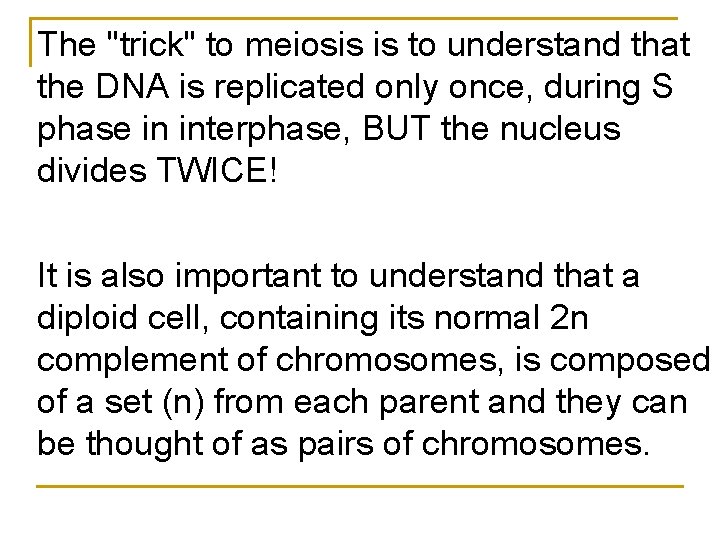 The "trick" to meiosis is to understand that the DNA is replicated only once, The "trick" to meiosis is to understand that the DNA is replicated only once,