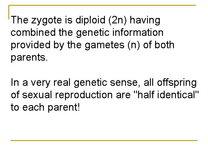 The zygote is diploid (2 n) having combined the genetic information provided by the The zygote is diploid (2 n) having combined the genetic information provided by the
