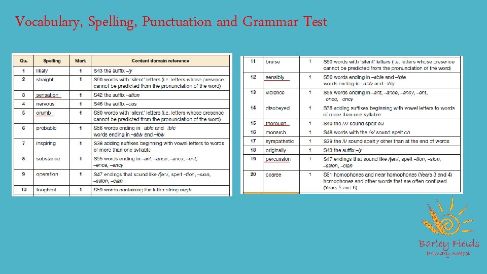 Vocabulary, Spelling, Punctuation and Grammar Test 