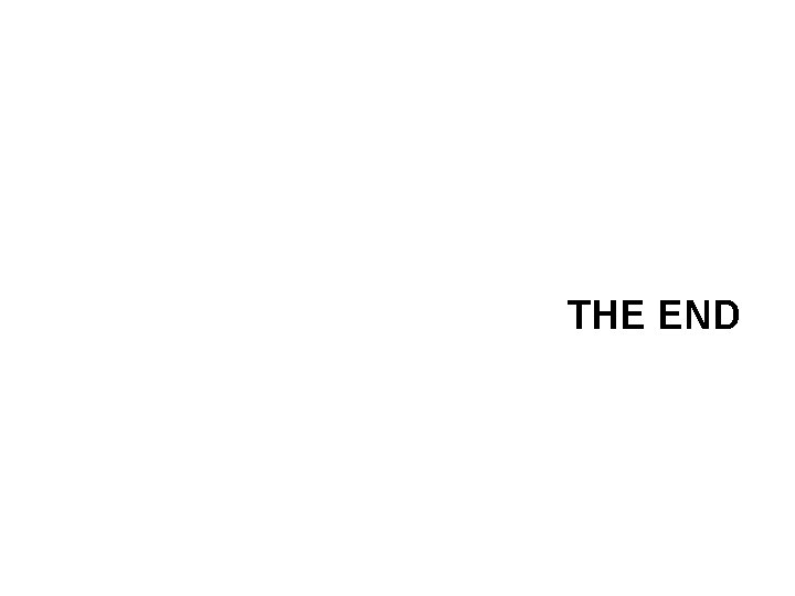 THE END 