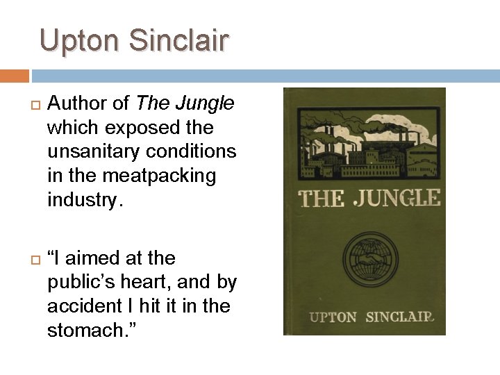Upton Sinclair Author of The Jungle which exposed the unsanitary conditions in the meatpacking