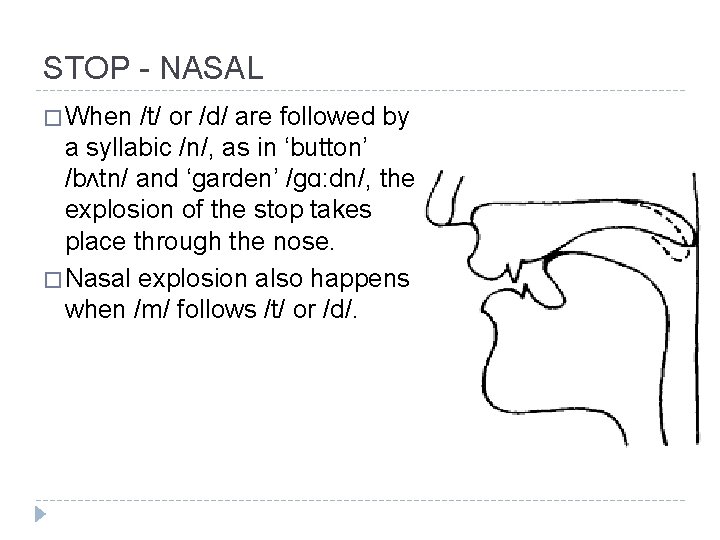 STOP - NASAL � When /t/ or /d/ are followed by a syllabic /n/, STOP - NASAL � When /t/ or /d/ are followed by a syllabic /n/,