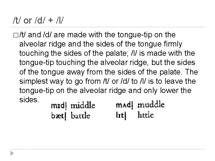 /t/ or /d/ + /l/ � /t/ and /d/ are made with the tongue-tip /t/ or /d/ + /l/ � /t/ and /d/ are made with the tongue-tip