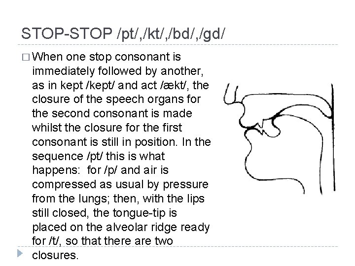 STOP-STOP /pt/, /kt/, /bd/, /gd/ � When one stop consonant is immediately followed by STOP-STOP /pt/, /kt/, /bd/, /gd/ � When one stop consonant is immediately followed by