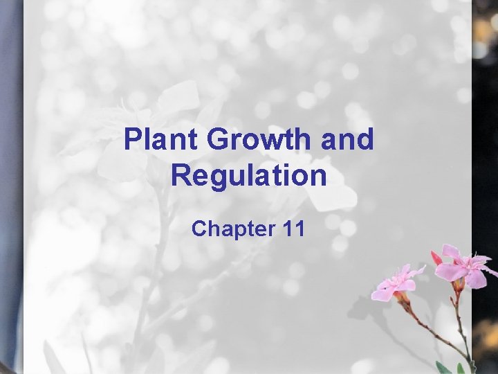 Plant Growth and Regulation Chapter 11 