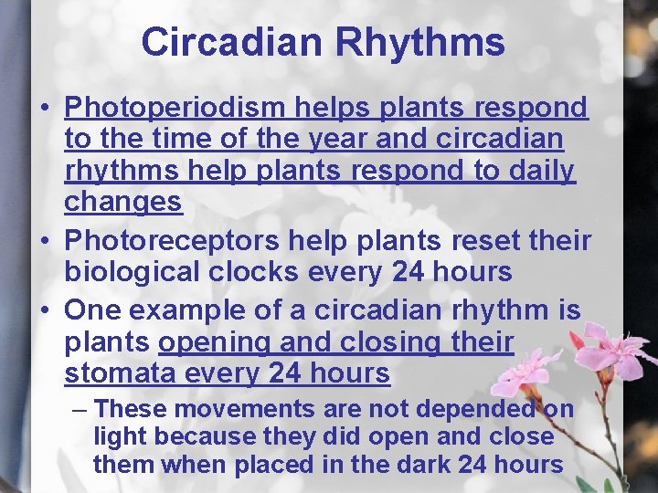 Plant Growth and Regulation Chapter 11 Circadian Rhythms