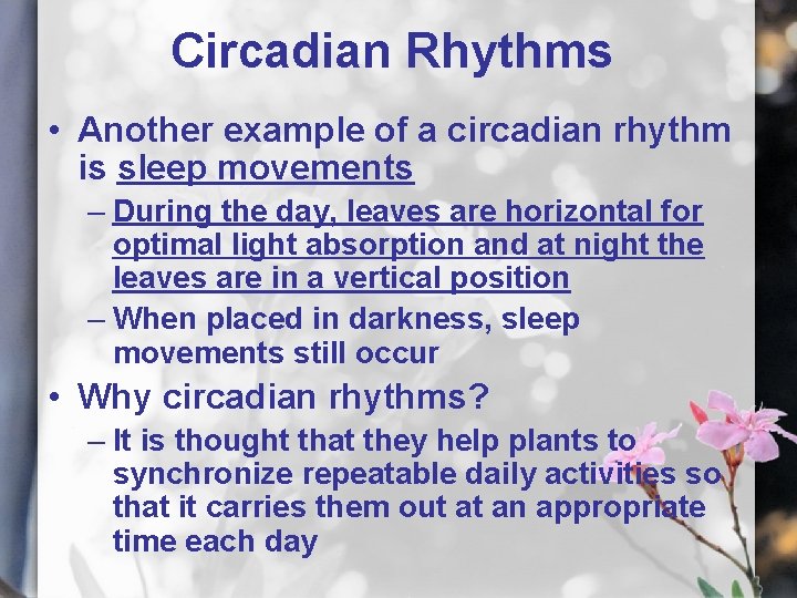 Circadian Rhythms • Another example of a circadian rhythm is sleep movements – During