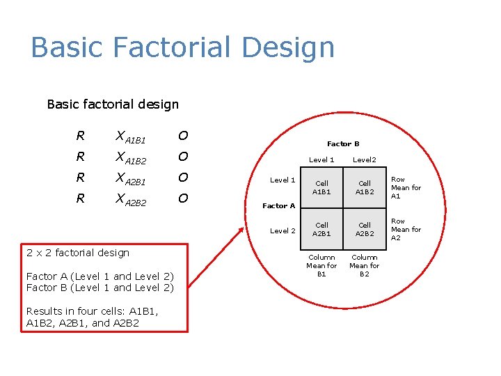 Basic Factorial Design Basic factorial design R XA 1 B 1 O R XA