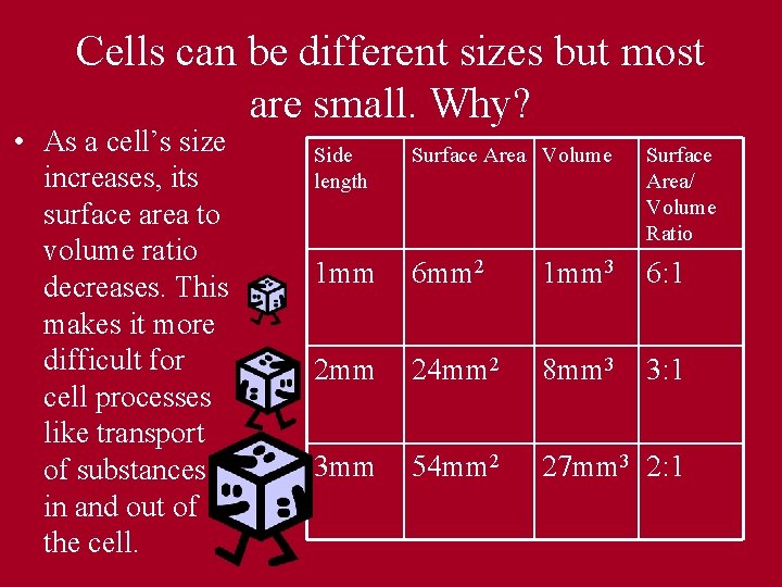 Cells can be different sizes but most are small. Why? • As a cell’s