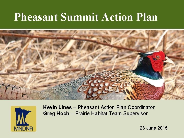 Pheasant Summit Action Plan Kevin Lines – Pheasant Action Plan Coordinator Greg Hoch –