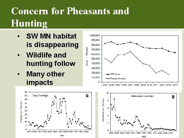 Concern for Pheasants and Hunting • SW MN habitat is disappearing • Wildlife and