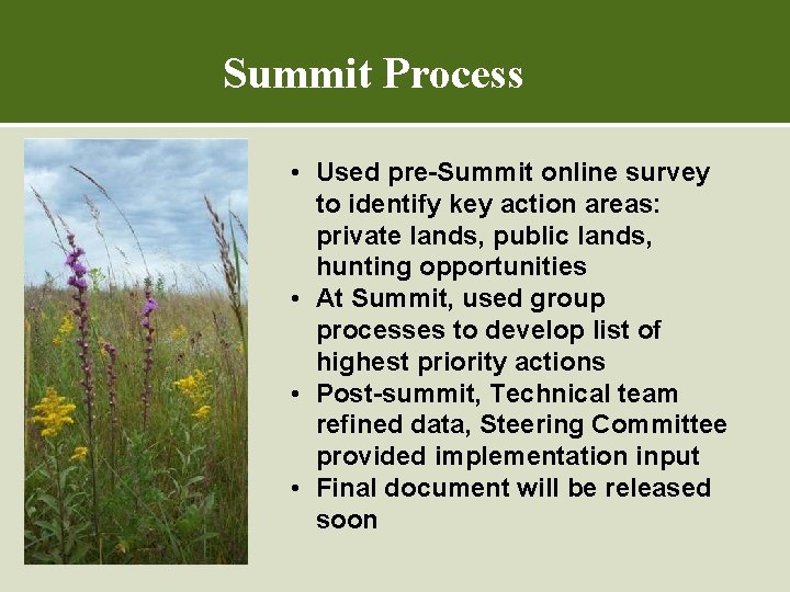 Summit Process • Used pre-Summit online survey to identify key action areas: private lands,