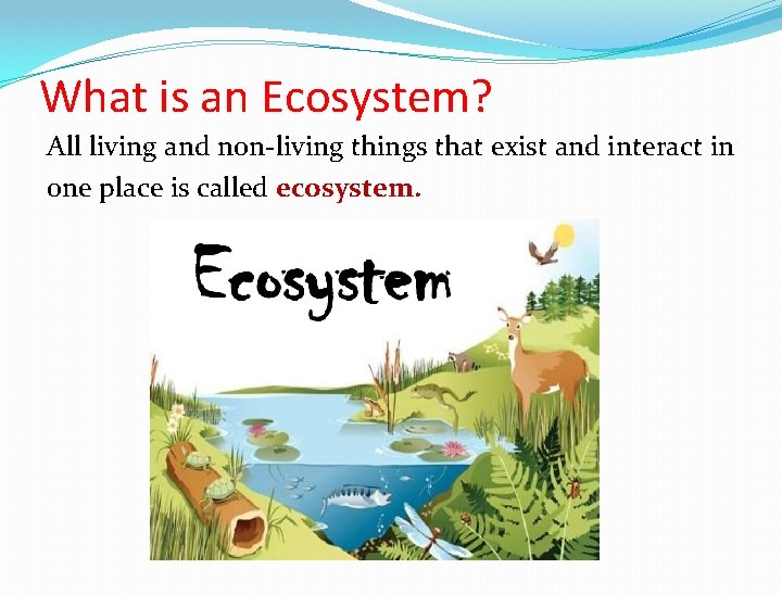 What is an Ecosystem? All living and non-living things that exist and interact in