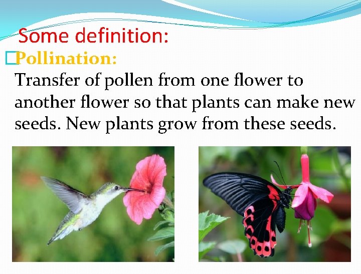 Some definition: �Pollination: Transfer of pollen from one flower to another flower so that
