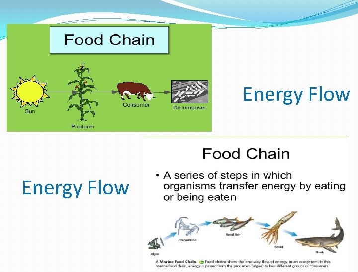 Energy Flow 