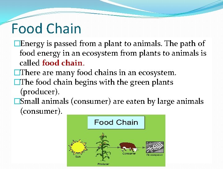 Food Chain �Energy is passed from a plant to animals. The path of food