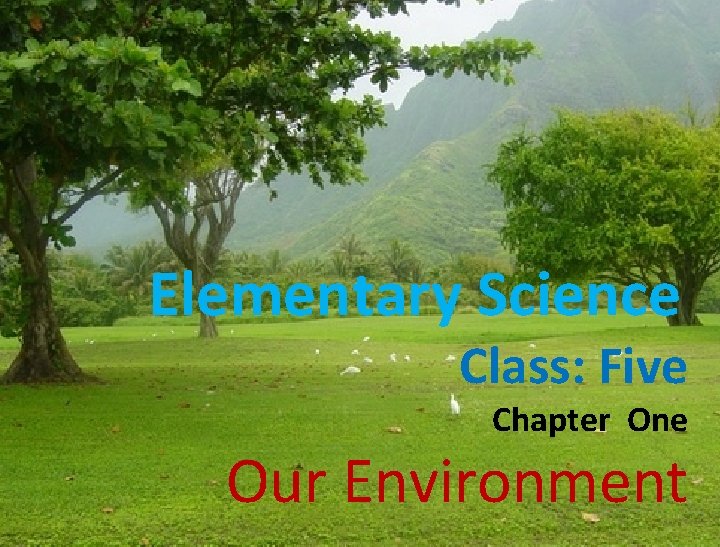 Elementary Science Class: Five Chapter One Our Environment 