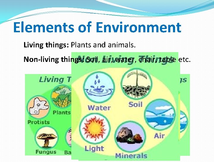 Elements of Environment Living things: Plants and animals. Non-living things: Soil, air, water, chair,