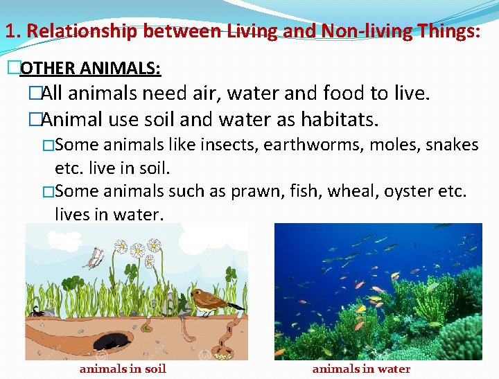 1. Relationship between Living and Non-living Things: �OTHER ANIMALS: �All animals need air, water