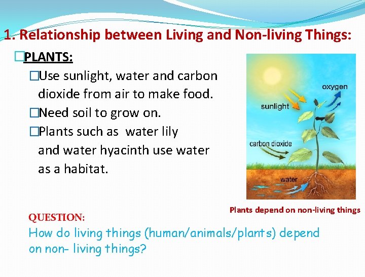 1. Relationship between Living and Non-living Things: �PLANTS: �Use sunlight, water and carbon dioxide