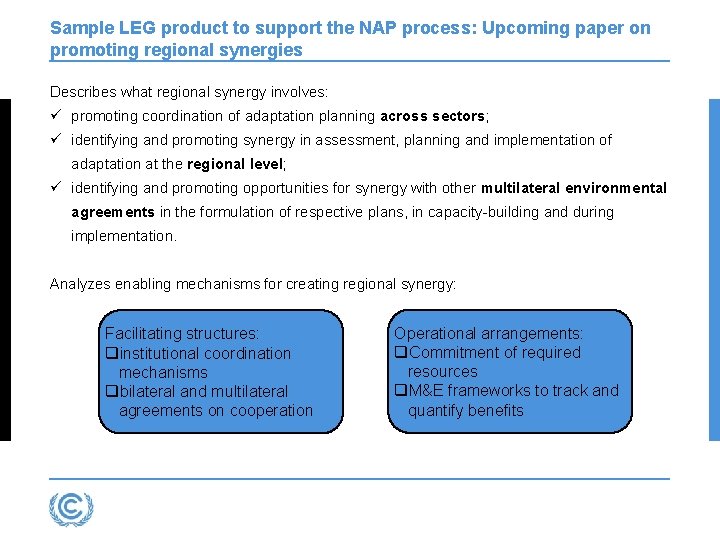 Sample LEG product to support the NAP process: Upcoming paper on promoting regional synergies