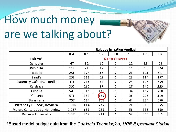 How much money are we talking about? Cultivo* Gandules Pepinillo Repollo Sandia Platanos y