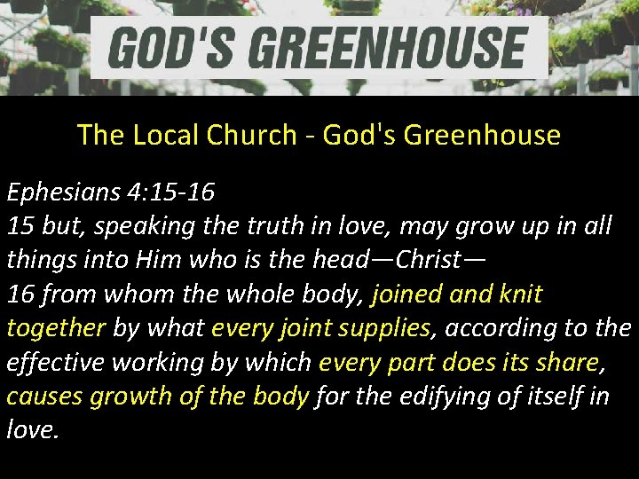 The Local Church - God's Greenhouse Ephesians 4: 15 -16 15 but, speaking the