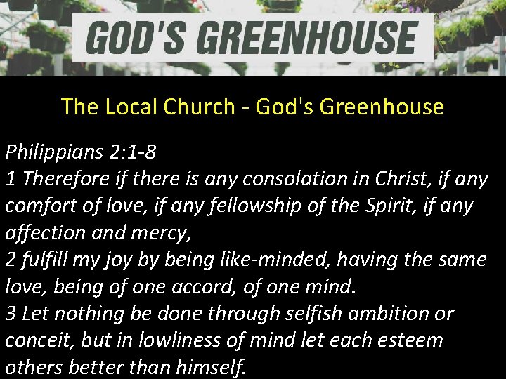 The Local Church - God's Greenhouse Philippians 2: 1 -8 1 Therefore if there