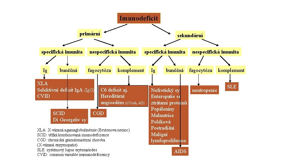 Imunodeficit primární specifická imunita Ig buněčná nespecifická imunita fagocytóza XLA Selektivní deficit Ig. A