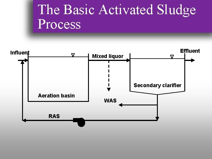 The Basic Activated Sludge Process Influent Mixed liquor Effluent Secondary clarifier Aeration basin RAS