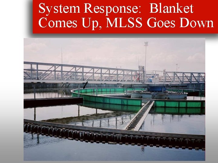 System Response: Blanket Comes Up, MLSS Goes Down 