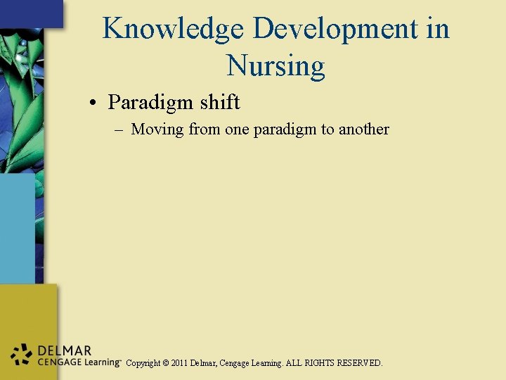Knowledge Development in Nursing • Paradigm shift – Moving from one paradigm to another